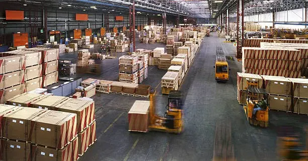 Forklifts operating among stacked pallets in a large warehouse