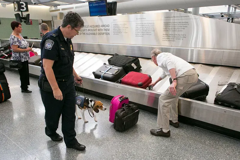 Officer with a detection dog beside luggage on an airport baggage carousel