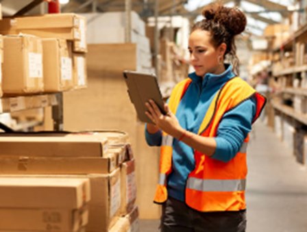 warehousing and distribution services, the courier company